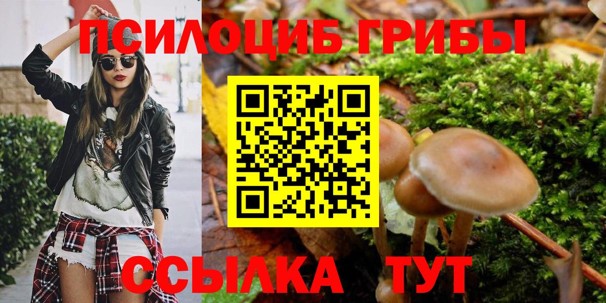 Галлюциногенные грибы прущие грибы  Вход с VPN  Артёмовский 
